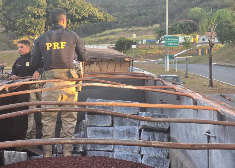 PRF apreende cerca de 2 toneladas de maconha em carga de minério na BR-262, em MG - Foto: Divulgação/PRF