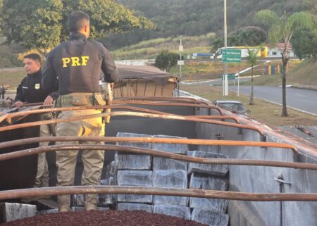 PRF apreende cerca de 2 toneladas de maconha em carga de minério na BR-262, em MG - Foto: Divulgação/PRF