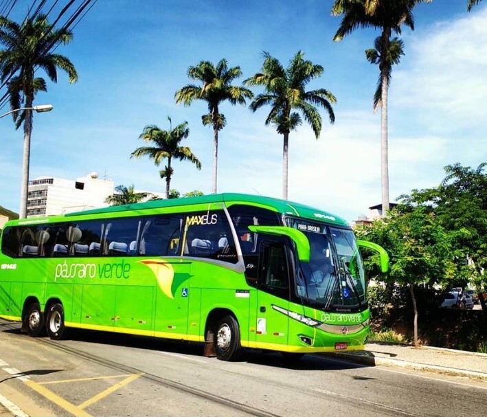 Passageira que ficou com sequelas após acidente na BR-262, em MG, receberá pensão e indenização de R$ 50 mil Passageira que ficou com sequelas após acidente na BR-262, em MG, receberá pensão e indenização de R$ 50 mil - Foto: Divulgação