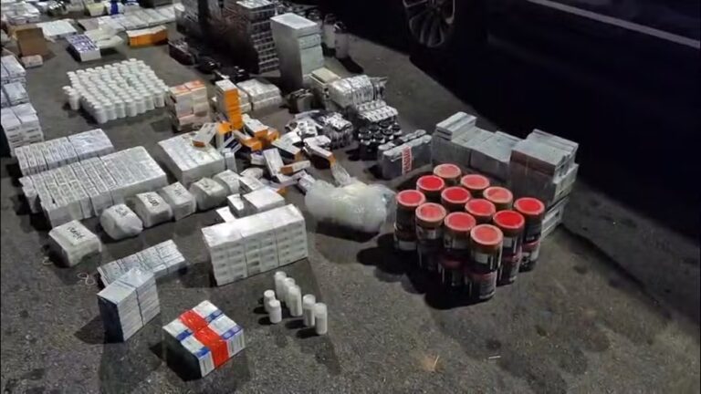 PRF apreende quase 3,2 mil medicamentos e anabolizantes ilegais na BR-381, em MG - Foto: Divulgação/PRF