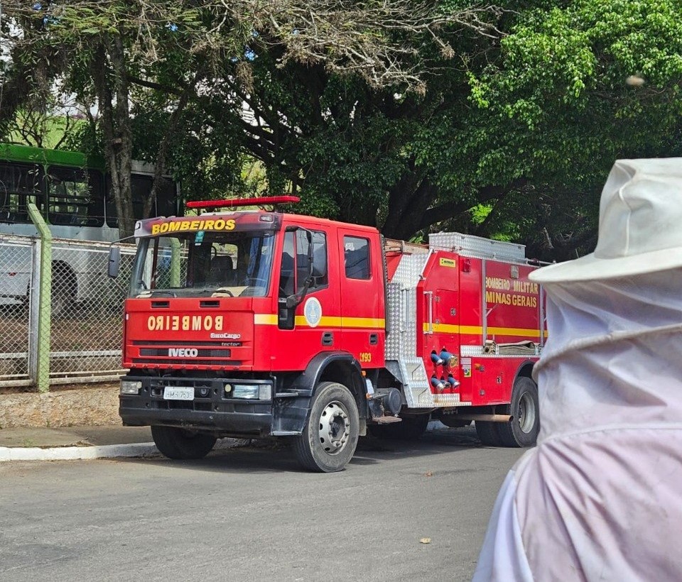 Idoso fica grave após ataque de enxame de abelhas em MG - Foto: Divulgação/CBMMG