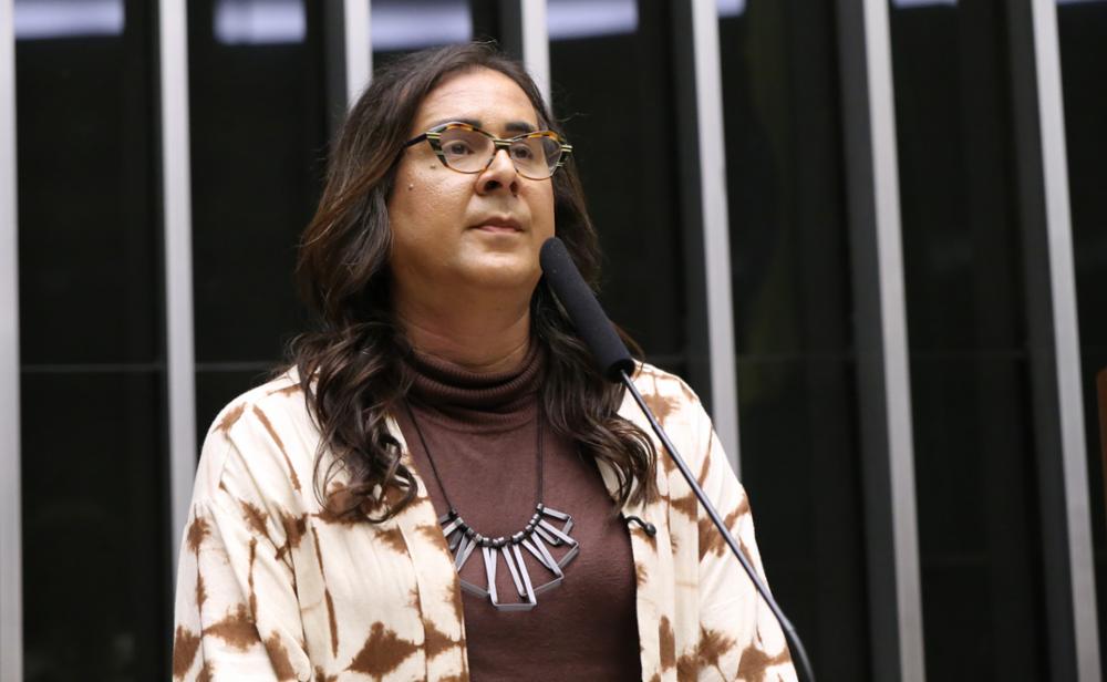 Duda Salabert relata agressão durante fiscalização de mineração na Grande BH - Foto: Kayo Magalhães / Câmara dos Deputados