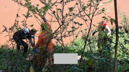Corpo de homem desaparecido é encontrado no Rio Paraopeba, em Brumadinho - Foto: Divulgação/Corpo de Bombeiros