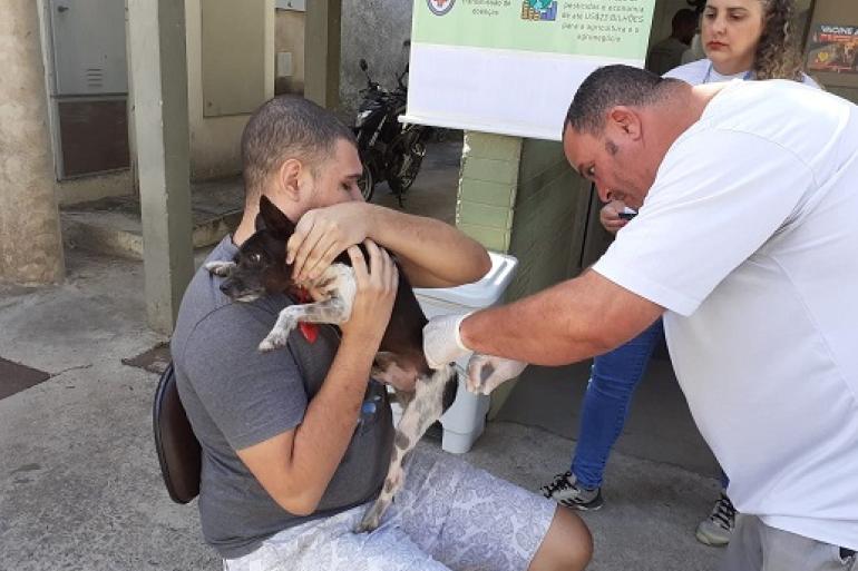 BH terá dois pontos extras para vacinação antirrábica de cães e gatos - Foto: Divulgação/PBH/Leila Porto