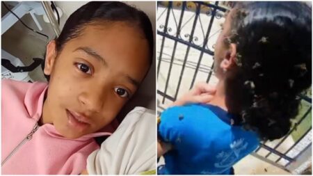 Menina atacada por abelhas em Ibirité publica vídeo e diz estar “muito bem” Menina atacada por abelhas em Ibirité publica vídeo e diz estar “muito bem” - Foto: Reprodução