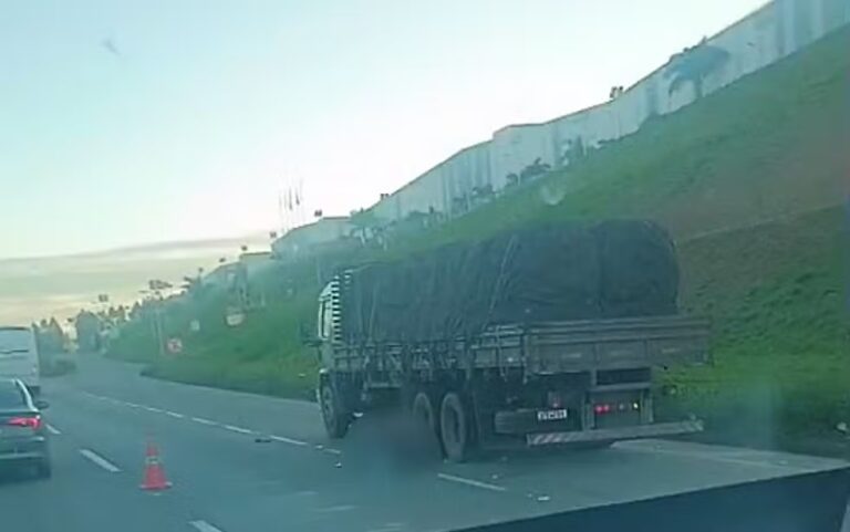 Motorista de caminhão morre atropelado na Fernão Dias, em Pouso Alegre - Foto: Reprodução