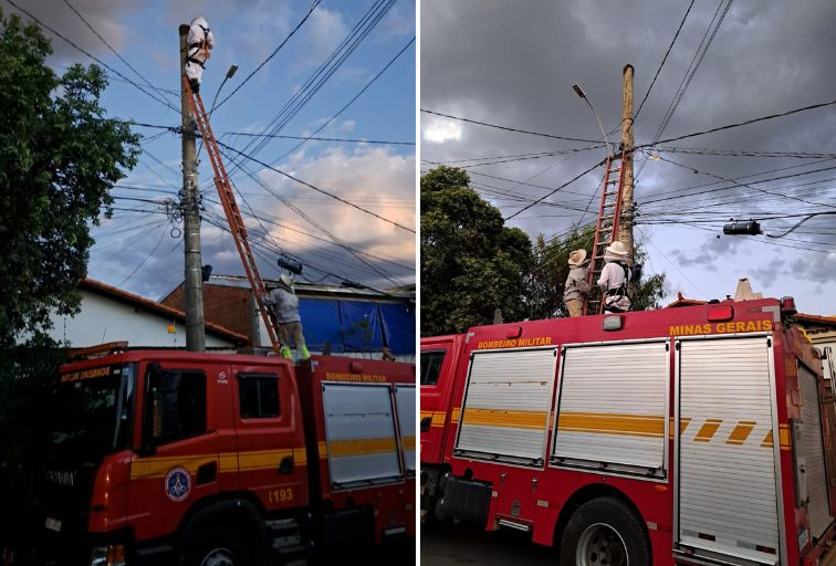 Idoso sofre parada cardiorrespiratória após ataque de abelhas em Montes Claros Idoso sofre parada cardiorrespiratória após ataque de abelhas em Montes Claros - Foto: Divulgação/CBMMG
