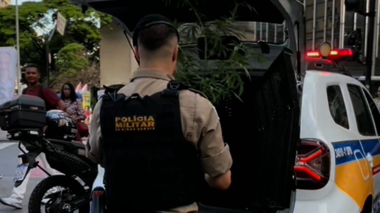 Candidato leva pé de maconha para ato na Praça Sete e tem planta apreendida pela PM em BH - Foto: Reprodução/@dario4e20