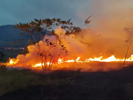 MPMG dá 24 horas para Bertópolis fornecer água e alimentos a indígenas após incêndio MPMG dá 24 horas para Bertópolis fornecer água e alimentos a indígenas após incêndio - Divulgação/MPMG