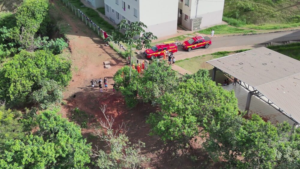 Bombeiros encontram duas crianças desaparecidas em área de mata em Itabira - Foto: Divulgação/Corpo de Bombeiros