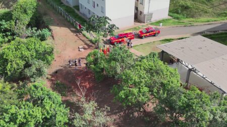 Bombeiros encontram duas crianças desaparecidas em área de mata em Itabira - Foto: Divulgação/Corpo de Bombeiros
