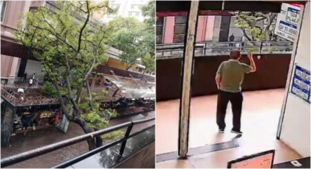 Árvore de grande porte cai e fica apoiada em imóvel na Praça Sete, em BH Árvore de grande porte cai e fica apoiada em imóvel no Centro de BH - Foto: Reprodução