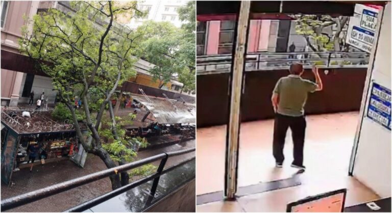 Árvore de grande porte cai e fica apoiada em imóvel na Praça Sete, em BH Árvore de grande porte cai e fica apoiada em imóvel no Centro de BH - Foto: Reprodução