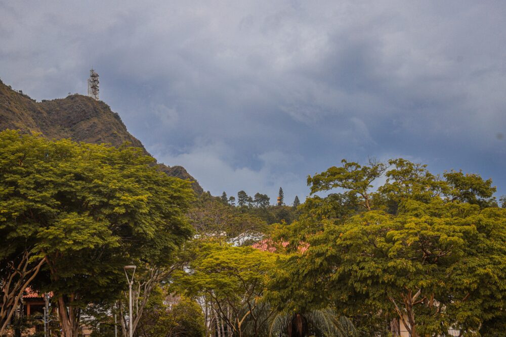 Minas Gerais define regras de transição para licenciamento ambiental - Dirceu Aurélio / Imprensa MG
