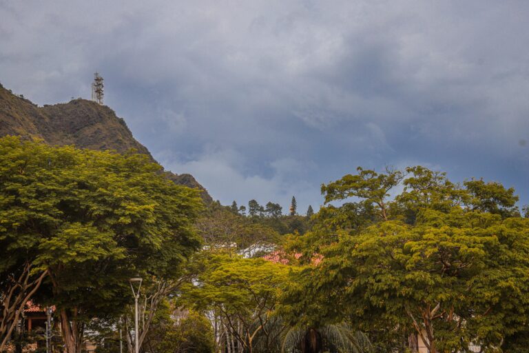 Minas Gerais define regras de transição para licenciamento ambiental - Dirceu Aurélio / Imprensa MG