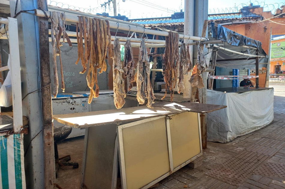 Fiscalização apreende 1,4 tonelada de carnes em mercado de MG - Foto: Divulgação/MPMG