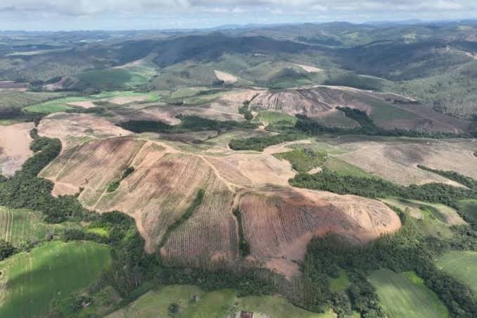 Lynas anuncia aquisição bilionária e mira megaprojeto de terras raras em MG - Foto: Divulgação