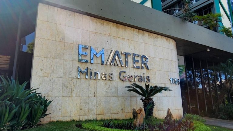 Emater-MG abre concurso com 120 vagas e salários de até R$ 7,3 mil; veja como se inscrever - Foto: Reprodução