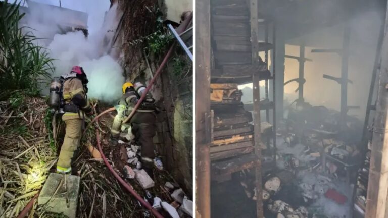 Incêndio atinge depósito de livros no bairro Ribeiro de Abreu, em BH Incêndio atinge depósito de livros no bairro Ribeiro de Abreu, em BH - Foto: Divulgação/CBMMG