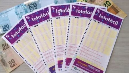 Lotofácil 3811: 59 apostas de MG ganham prêmio; veja cidades Lotofácil 3811: 59 apostas de MG ganham prêmio; veja cidades - Foto: Divulgação/Agência Brasil