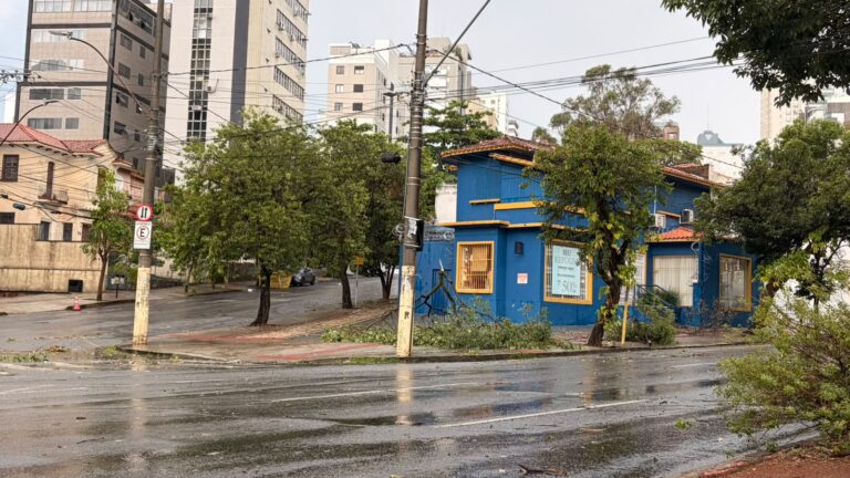 Chuva forte derruba árvores e galhos e bloqueia vias de Belo Horizonte Galhos de árvores caíram na Avenida do Contorno - Foto: Por Dentro de Minas / Divulgação